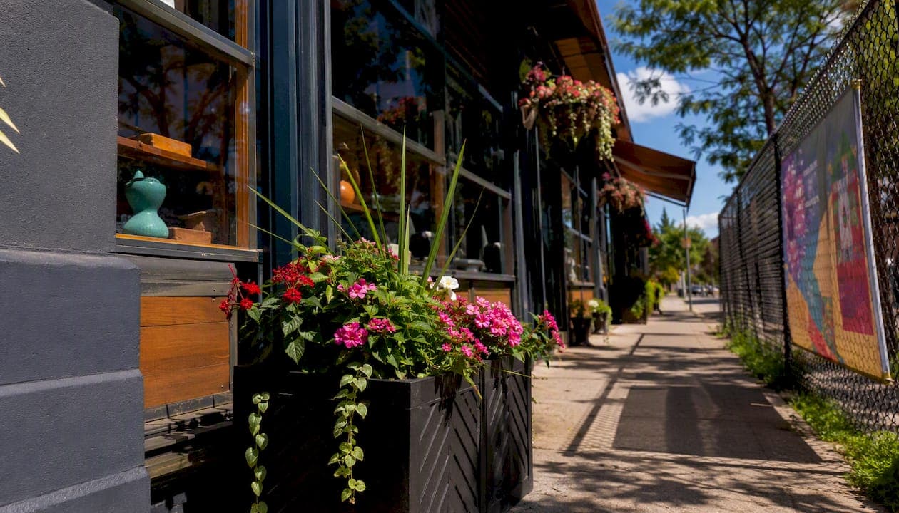 Authentic Local Search: What It Means and Why It Matters